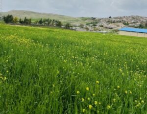 رامهرمز، جایی که زمین و تاریخ نفس می‌کشند
