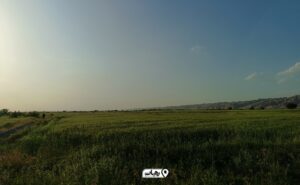 طبیعت سرسبز رامهرمز خودنمایی می‌کند