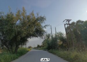 طبیعت سرسبز رامهرمز خودنمایی می‌کند