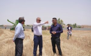 آغاز برداشت محصول گندم در شهرستان رامهرمز